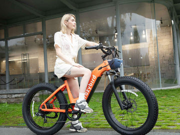 Frühlingsfahrten, spüren Sie die Freiheit – CB60 Elektrofahrrad
