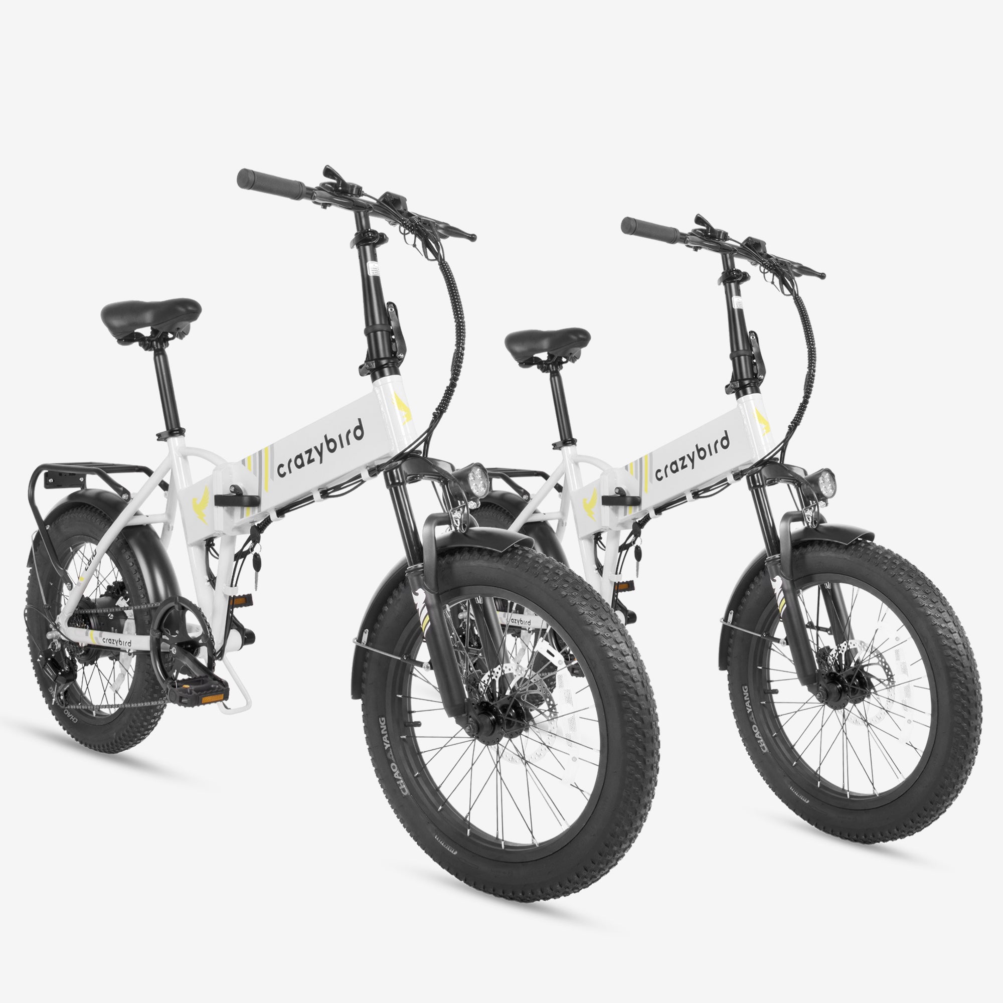 angebot elektrofahrrad Crazybird Kombi-Angebot CB10*2