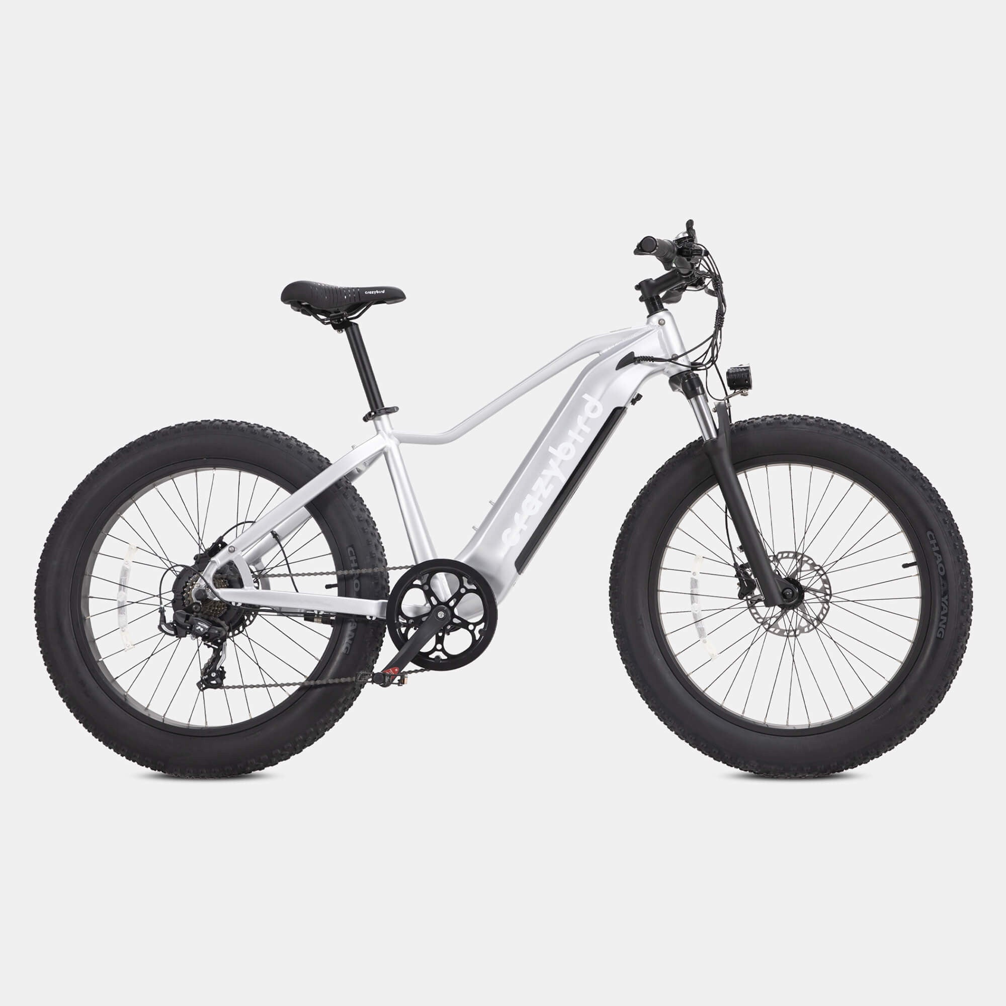 Big tire electric bicycle online