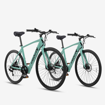 Crazybird Kombi-Angebot CB20*2