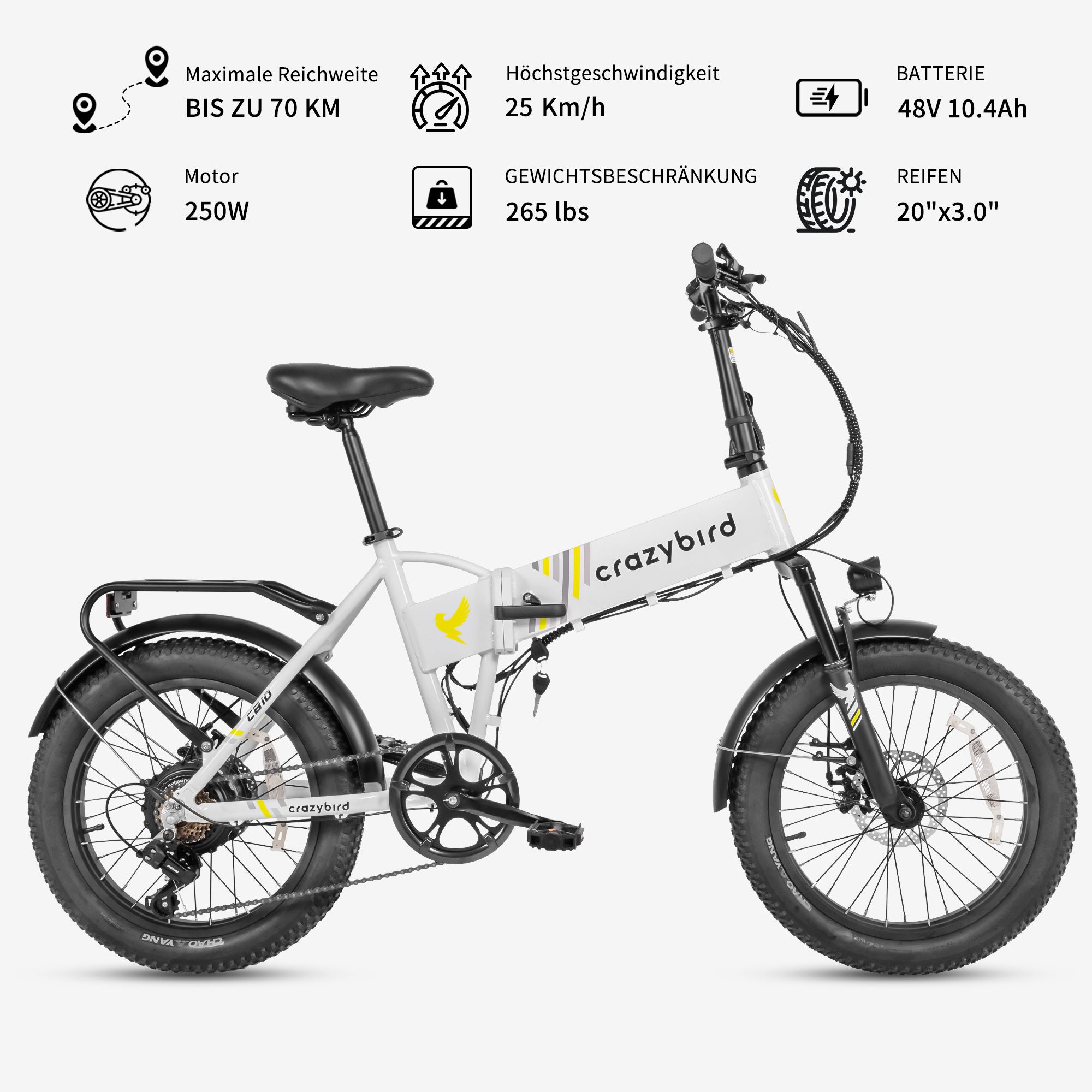 carver elektrofahrrad Cityzen E LTD FL Color:Gloss Shadow Silver Blended Speckle Over Carbon / Silver Dust All-Terrain Electric Bike Vogue Cargo E-Bike Wonder
