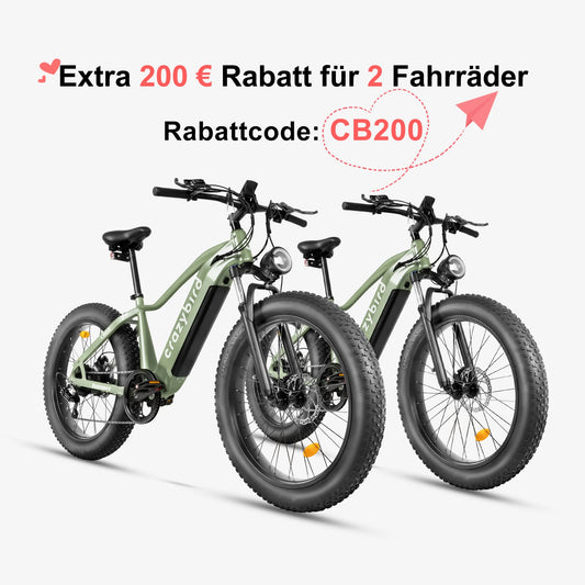 Crazybird CB60 E-Bike