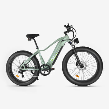 Crazybird CB60 E-Bike