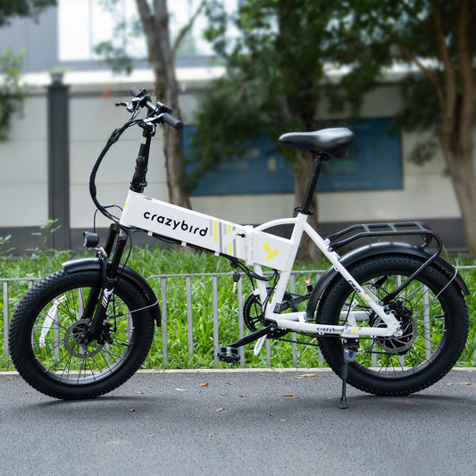 Crazybird CB10 E-Bike