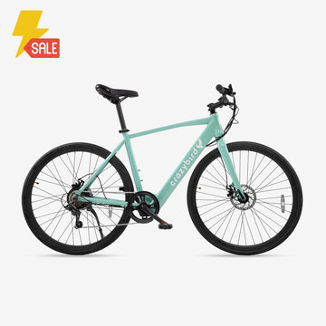 Crazybird CB20 E-Bike