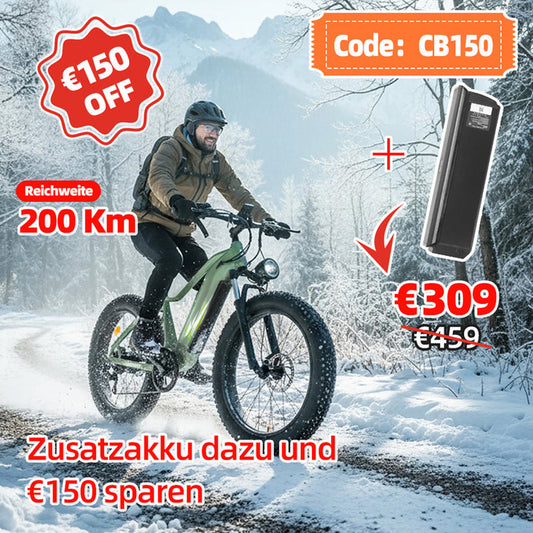 Crazybird CB60 E-Bike