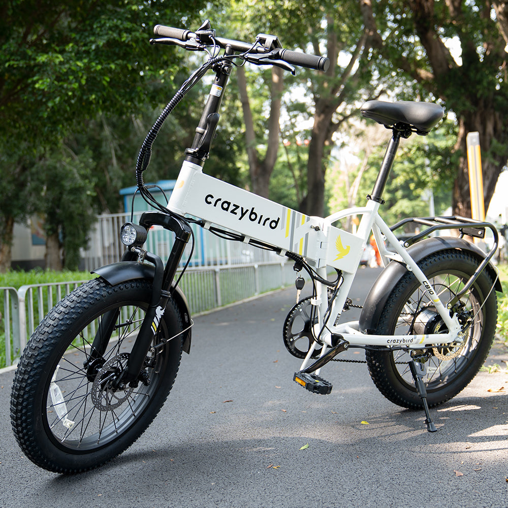 Crazybird CB10 E-Bikes für Erwachsene 500W Motor 22MPH Höchstgeschwindigkeit 20