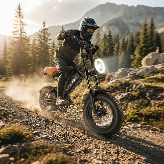 Crazybird CB4 Fatbike e bike