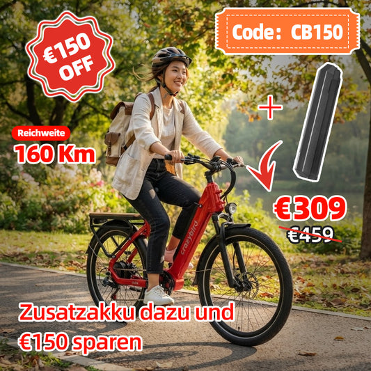 Crazybird Seta E-Bike