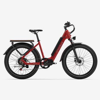 Crazybird Seta E-Bike